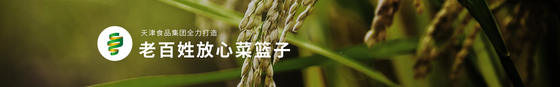 乐鱼体育在线地址app