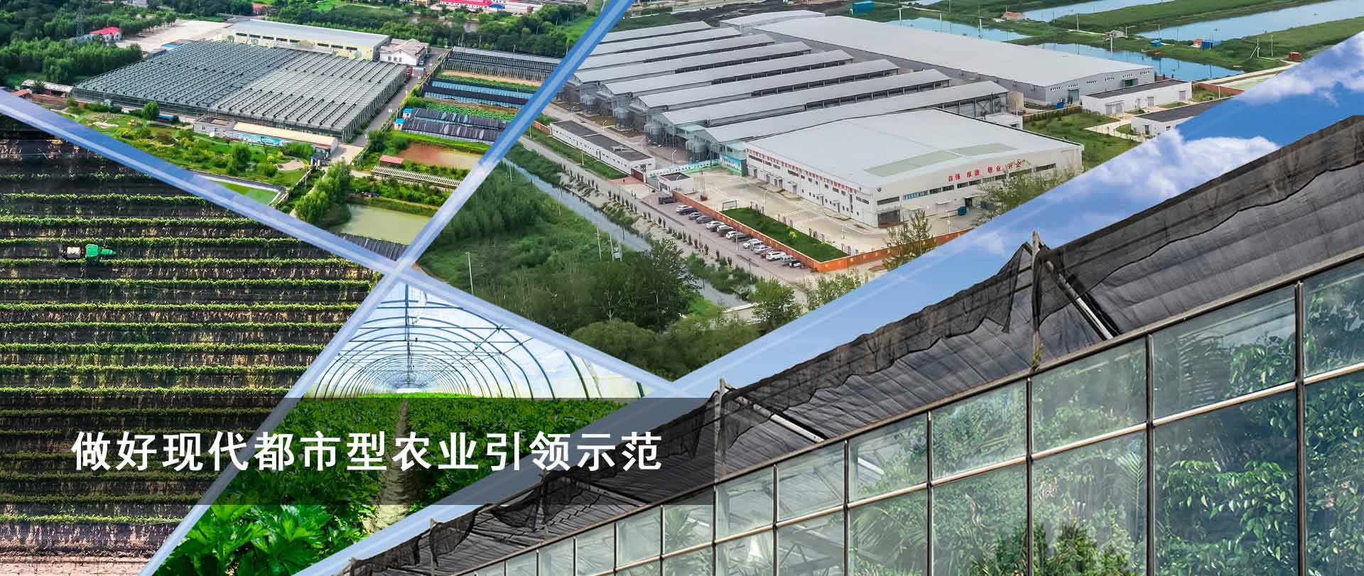 乐鱼体育综合网页版